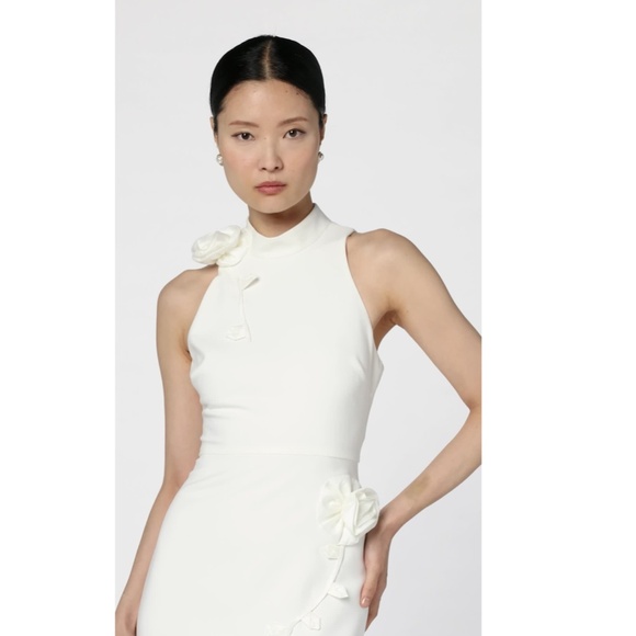 NEW LIKELY Off White DOIRAN Halterneck EMBROIDERED FLORALS Column GOWN 6 - Picture 4 of 16